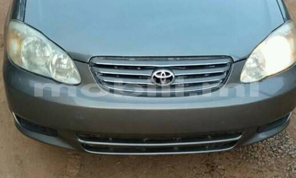 Acheter Occasion Voiture Toyota Corolla Gris à Bamako au Mali Acheter Occasion Voiture Toyota Corolla Gris à Bamako au Mali