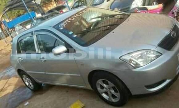 Acheter Occasion Voiture Toyota Corolla Gris à Bamako au Mali Acheter Occasion Voiture Toyota Corolla Gris à Bamako au Mali