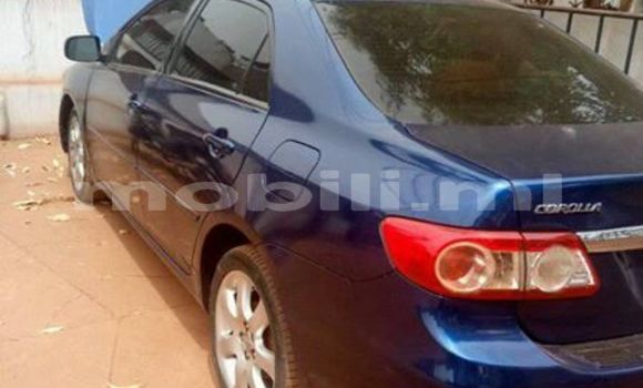 Sayi Na hannu Toyota Corolla Blue Mota in Bamako a Mali Sayi Na hannu Toyota Corolla Blue Mota in Bamako a Mali