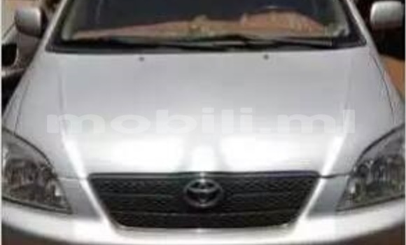 Acheter Occasion Voiture Toyota Drogba Gris à Bamako au Mali Acheter Occasion Voiture Toyota Drogba Gris à Bamako au Mali