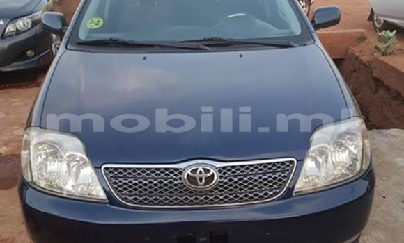 Acheter Occasion Voiture Toyota Corolla Bleu à Bamako au Mali Acheter Occasion Voiture Toyota Corolla Bleu à Bamako au Mali