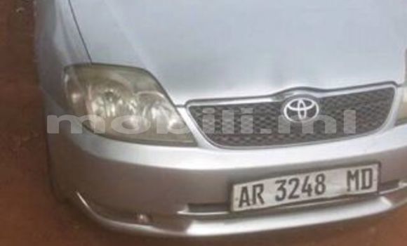 Acheter Occasion Voiture Toyota Corolla Gris à Bamako au Mali Acheter Occasion Voiture Toyota Corolla Gris à Bamako au Mali