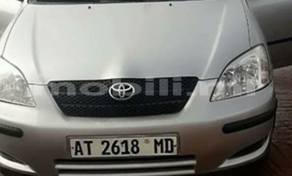 Acheter Occasion Voiture Toyota Drogba Gris à Bamako au Mali Acheter Occasion Voiture Toyota Drogba Gris à Bamako au Mali