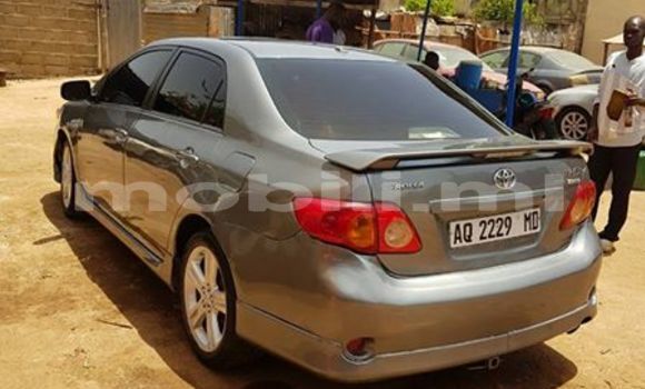Acheter Occasion Voiture Toyota Corolla Gris à Bamako au Mali Acheter Occasion Voiture Toyota Corolla Gris à Bamako au Mali